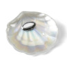 Concha M.Perla Ovalo 7/417 | 20,95 € | Joyería Flores
