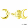 Pendientes Dorados Media Luna Plata 2024113/Y | 11,00 € | Joyería Flores
