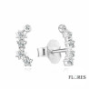 Pendientes Escaladores Plata Circonitas 2024615 | 16,00 € | Joyería Flores