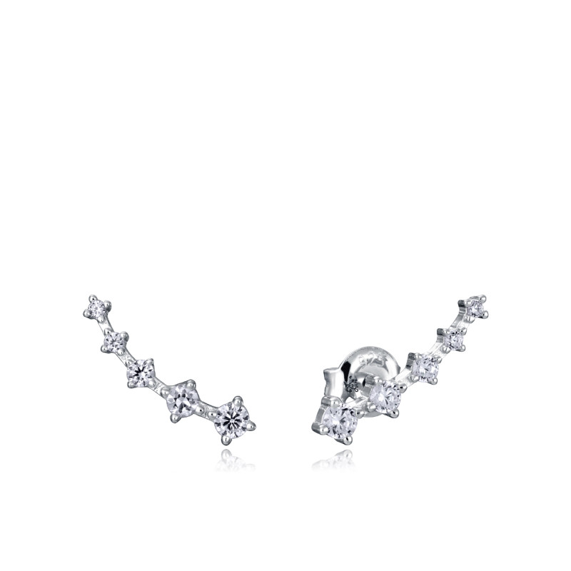Pendientes Viceroy Trend Plata trepador Circonitas | 29,00 € | Joyería Flores